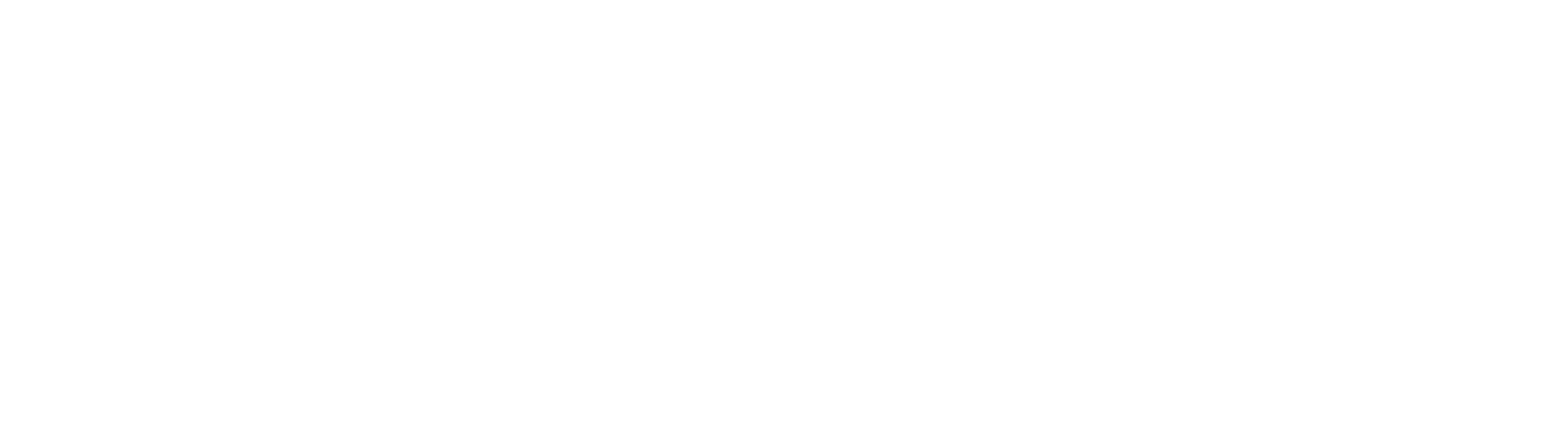 Momentum Labs